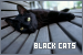 black cats fanlisting