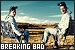 breaking bad fanlisting