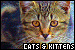 cats & kittens fanlisting