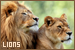 lions fanlisting