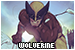 wolverine fanlisting